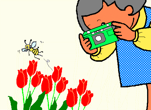 �̂肿���̓J�����}��