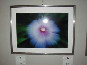 写真展佳作入賞 大友　博康様